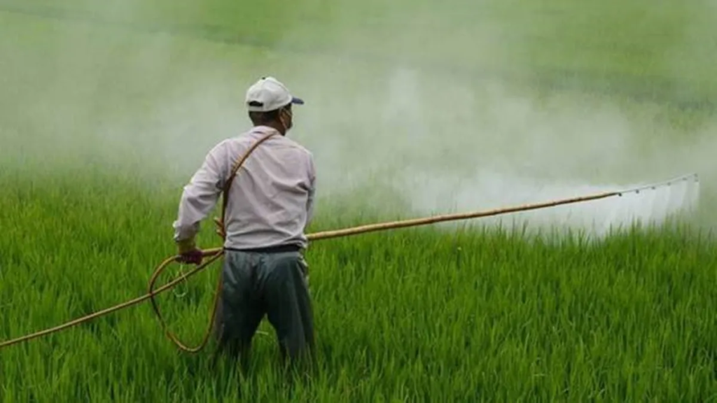 a man in the distance spraying crops with liquid urea